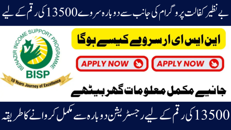 Complete Details of the NSER Survey for the Benazir Kafaalat 13500 Resurvey in 2025