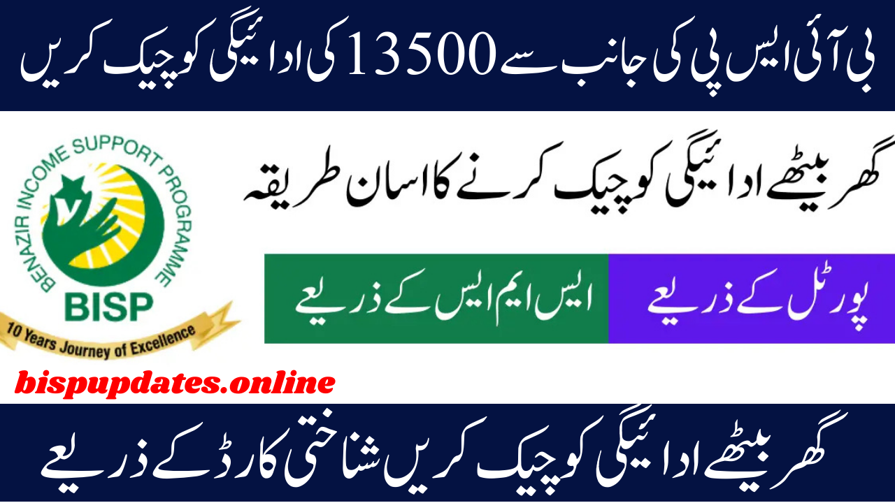 BISP 8171 Result 2025 For 13500