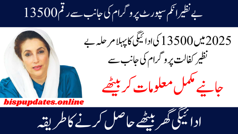 Details of the 13500 Benazir Income Support Program Payments Announced How to Use Widraw 2025