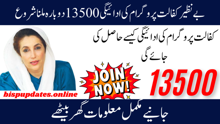 Quarterly BISP 13500 Payment Reissued in January 2025 Understand All the Details