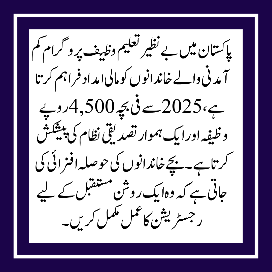 The new BISP 8171 update for the Taleemi Wazaif Payment 4500 Verification System will begin in 2025.