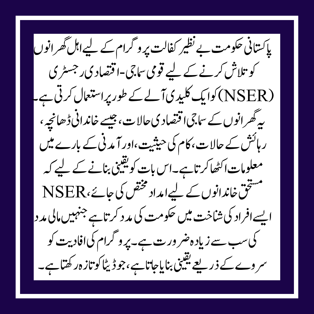 Complete Details of the NSER Survey for the Benazir Kafaalat 13500 Resurvey in 2025