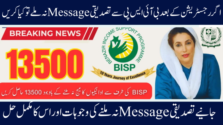 Confirm BISP Payment Status If Delayed Registration Response