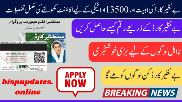 Benazir Card Criteria
